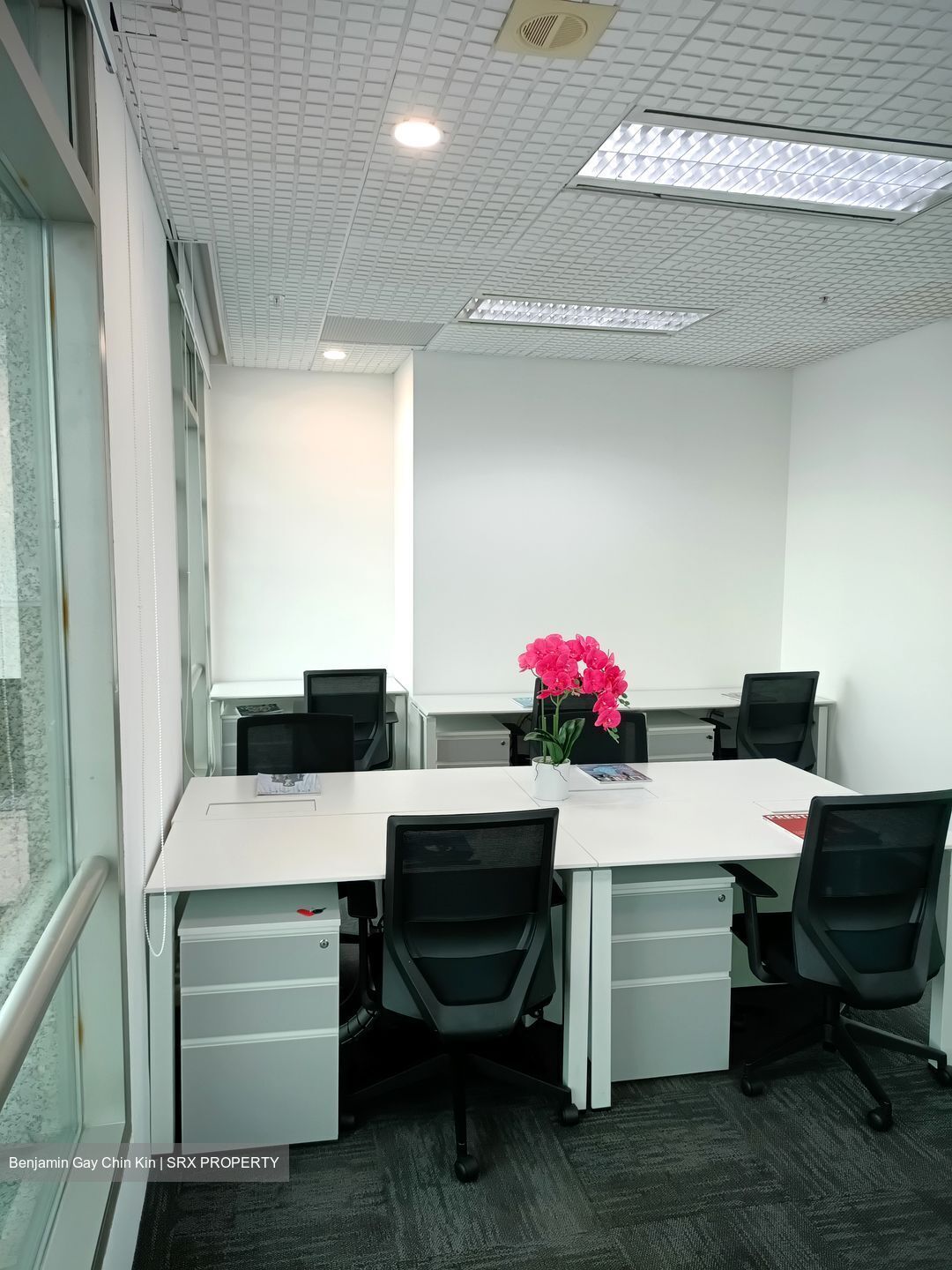 Bugis Junction (D7), Office #540705671